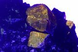Fluorescent Zircon Crystals in Biotite Schist - Norway #175873-3